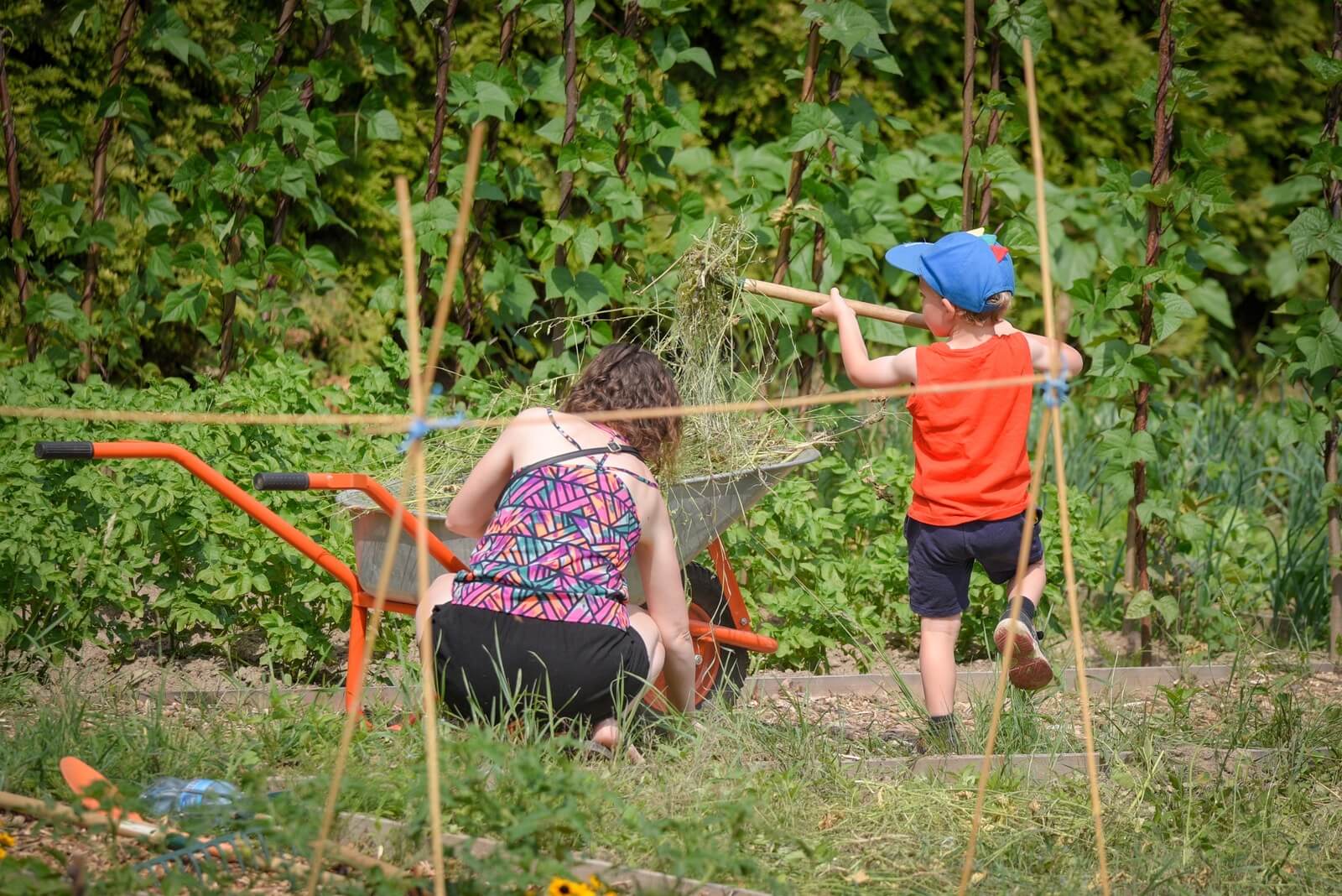 Brygada ogrodnicza w akcji: sekcja taczkowa. fot. Piotr Olejniczak