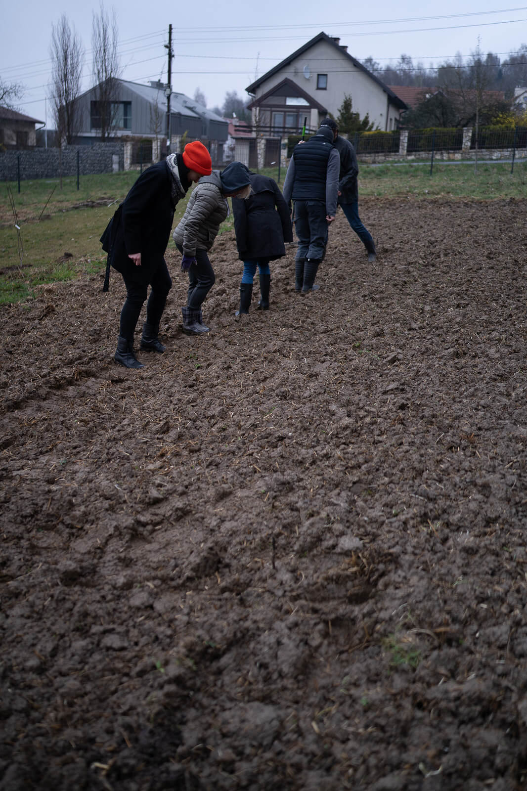 Wspólne przygotowywanie grządek na minifarmie